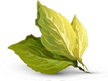 Agricultural products